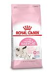 Royal Canin kattenvoer Mother & Babycat 2 kg
