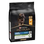 Pro Plan hondenvoer Large Robust Puppy 3 kg