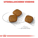 Royal Canin Hondenvoer Urinary Care Mini 8 kg