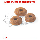 Royal Canin Kattenvoer Fit 32 10 kg