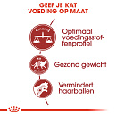Royal Canin Kattenvoer Fit 32 10 kg