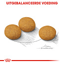 Royal Canin Hondenvoer Derma- <br>comfort Medium 12 kg
