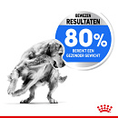 Royal Canin Hondenvoer Light Weight Care Medium 12 kg