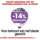 Royal Canin Hondenvoer Sterilised Maxi 12 kg