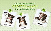 WHIMZEES Veggie Strip M 14 st