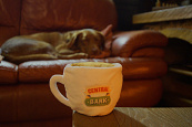 PawStory hondenspeelgoed Cental Bark