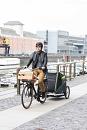 Croozer hondenfietskar Dog Bruuno XXL + gratis kussen