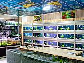 Impressie winkel
