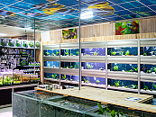 Impressie winkel