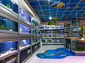 Impressie winkel