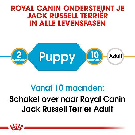 Royal Canin hondenvoer Jack Russell Puppy 3 kg