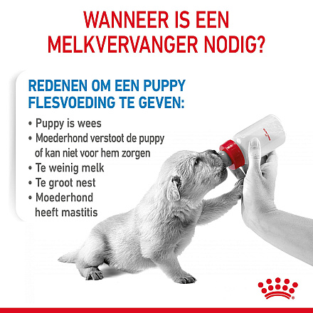 Royal Canin Hondenvoer Babydog Milk 2 kg