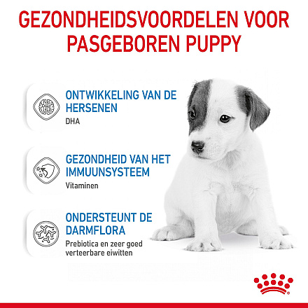 Royal Canin Hondenvoer Babydog Milk 2 kg