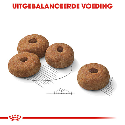 Royal Canin Hondenvoer Sterilised Maxi 12 kg