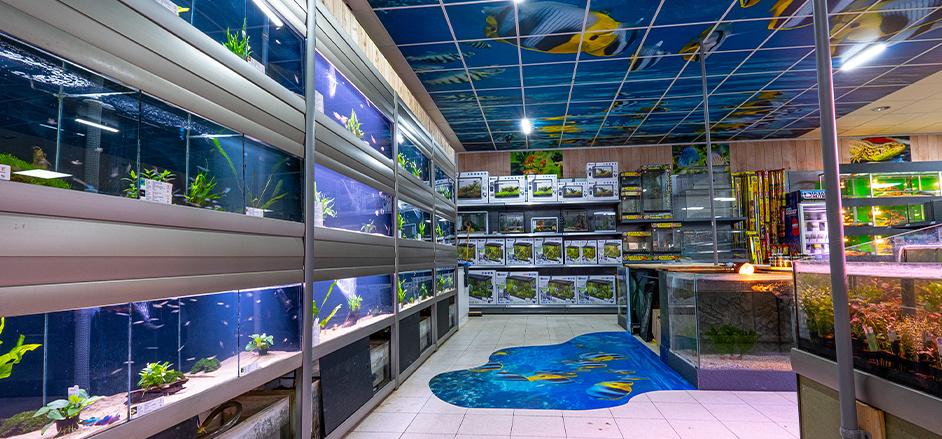 Impressie winkel